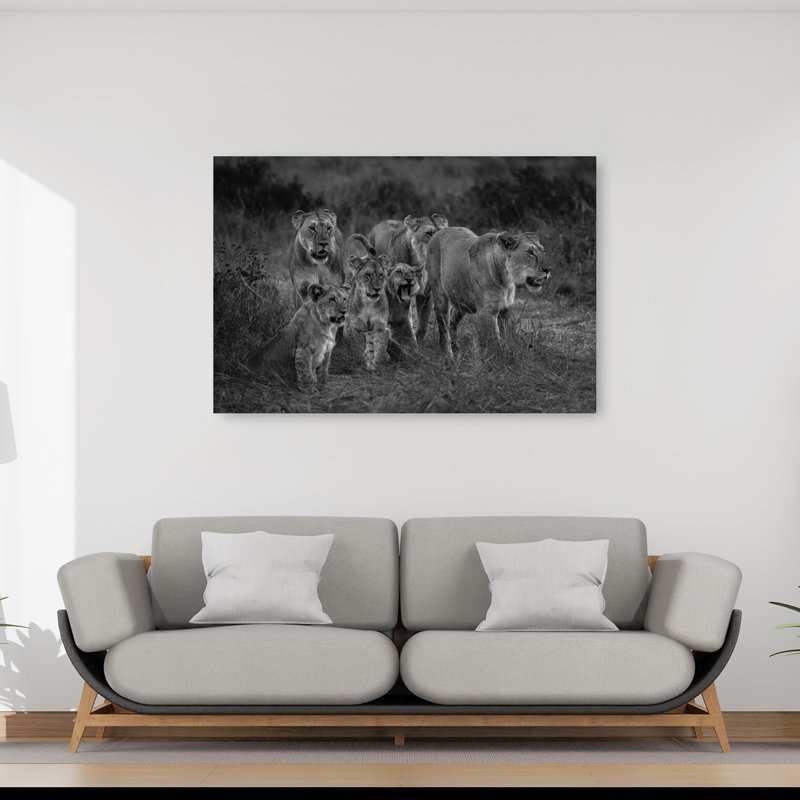 Lion Pride Walk Contemporary Cat Lion Nature Wildlife Wall Art Print 1 Piece Wrapped Canvas Wall Art, 101.6cm H x 152.4cm W