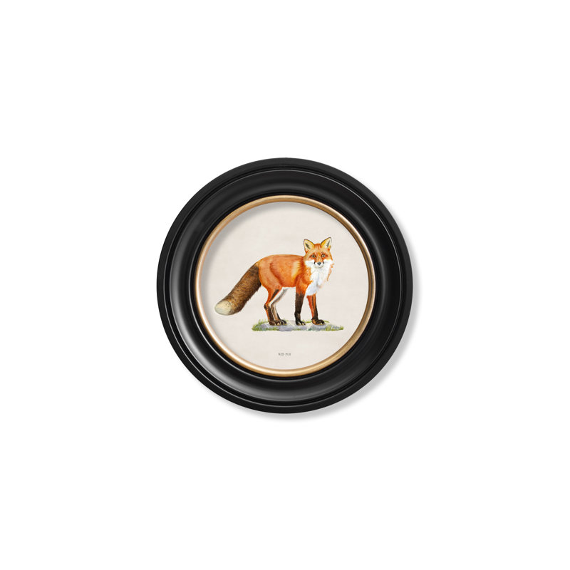 Flamingo by Mid-1800s - Single Picture Frame Print on Archival Matt 230gsm Paper