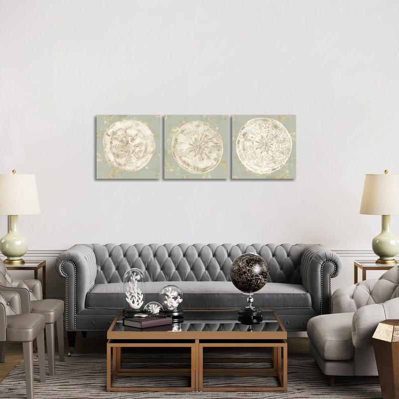 «Cone Shells Triptych», ensemble d'art mural sur toile tendue (ensemble de 3)