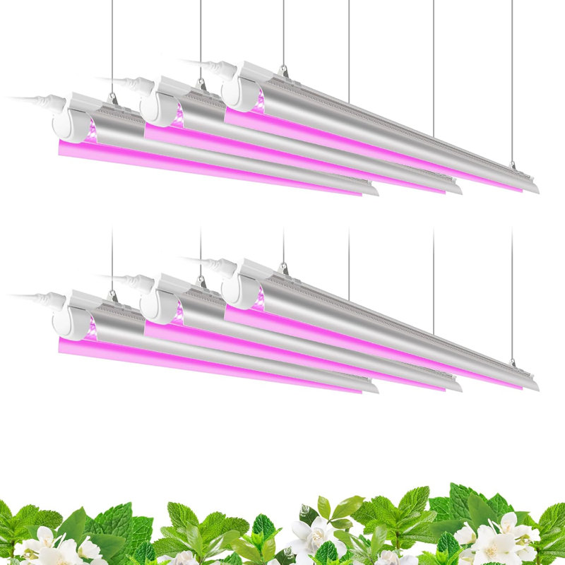 Lumière de croissance Barrina Led, 258 W (6 X 42 W) 4 pi T8, spectre complet, forme de V avec réflecteur, conception connectable, lumières pour plantes d'intérieur, paquet de 6