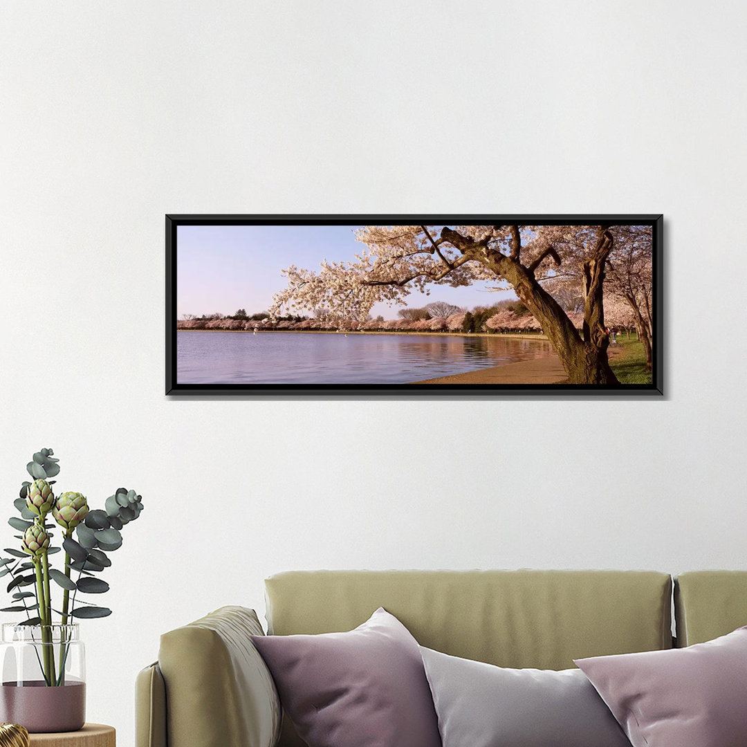 " Cherry Blossom Tree Along A Lake, Potomac Park, Washington, D.C " East Urban Home