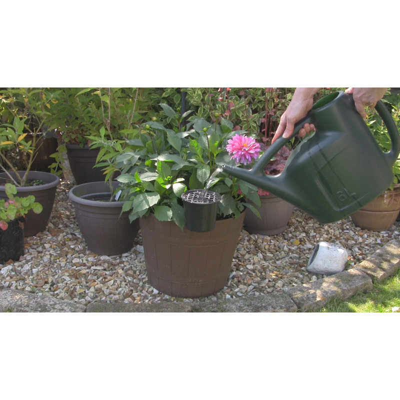 Benno Speed Feed Watering System
