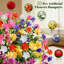 Arrangement