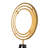 Cassini 81'' LED Tripod Floor Lamp