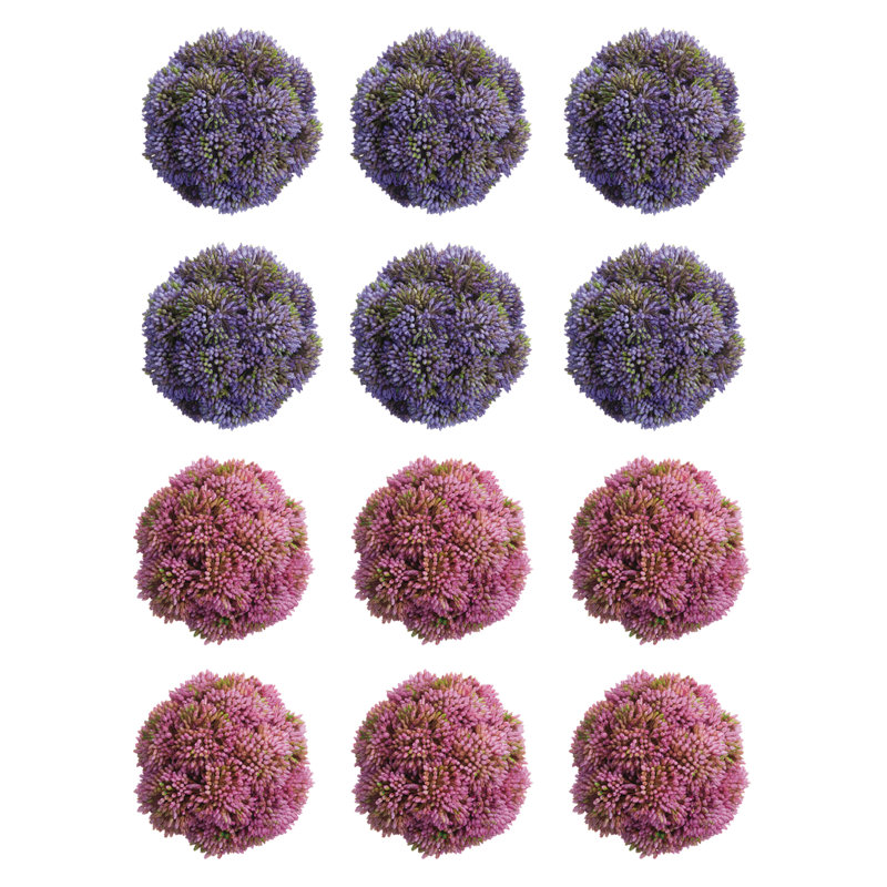 Decorative Sedum , Lavender/Pink