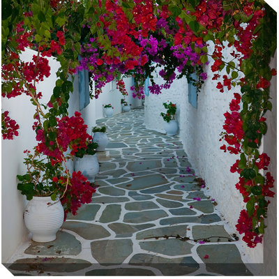 Bougainvillea Path
