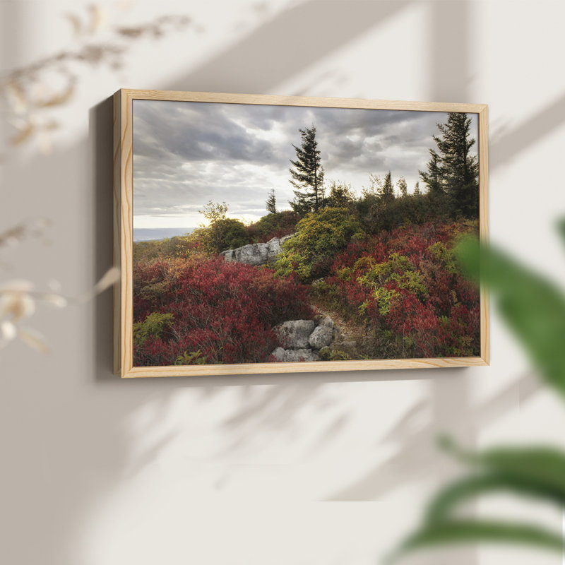 Highland Trail -Framed Print - Restickable, Natural, 16" H x 20" W