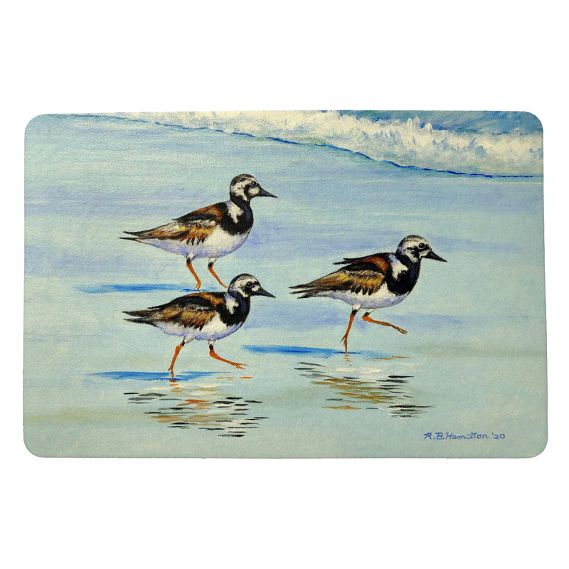 Tapis d'entrée / extérieur antidérapant Georgeanna Ruddy Turnstones, l 18 po x L 26 po