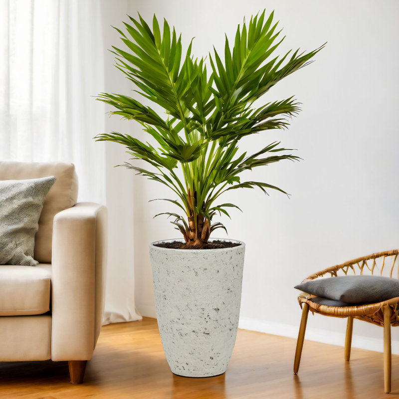 19.5" Resin Tall Pot Planters for Outdoor Plants, Heavy-Duty Large Flower Pots, Weather-Resistant