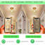 3 Watt (40 Watt Equivalent) G9 LED, Dimmable Light Bulb G9/Bi-pin Base-63325182