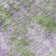 Caseville Abstract Rug