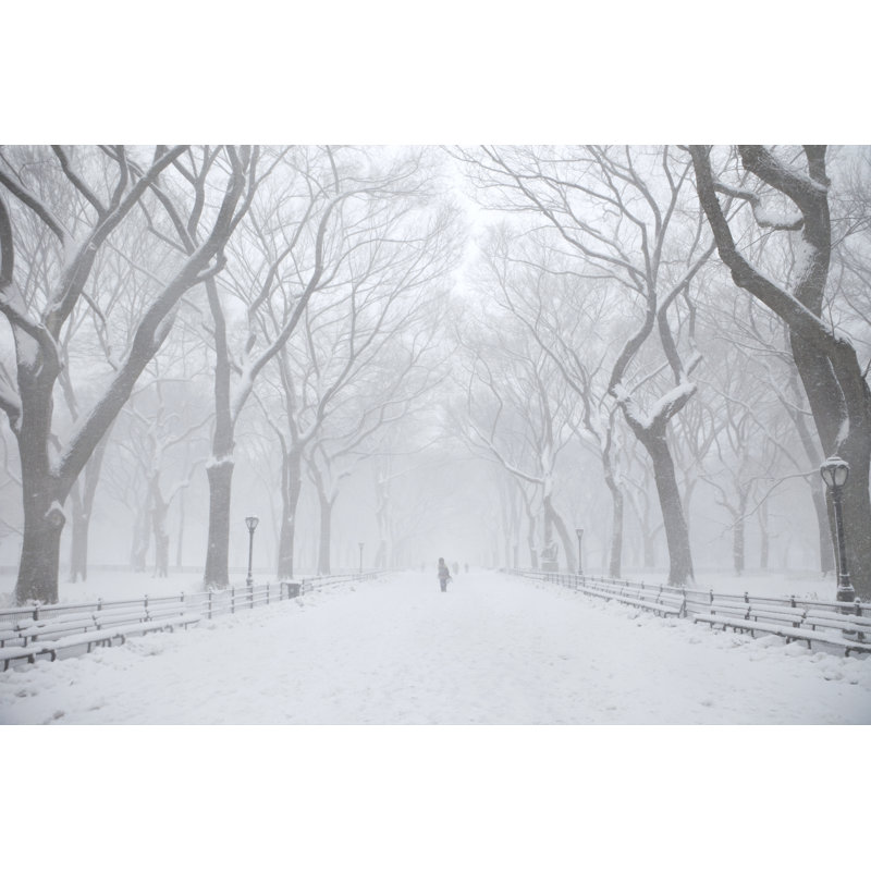 Central Park Winter - The Mall by Zxvisual - Print, 51cm H x 76cm W