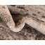 Tapis contemporain brun clair Araceli-71265151