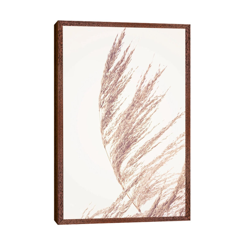 Pampas Grass II 1 Piece Wall Art on Canvas, 66.04 cm H x 45.72 cm W, Classic Wood Framed