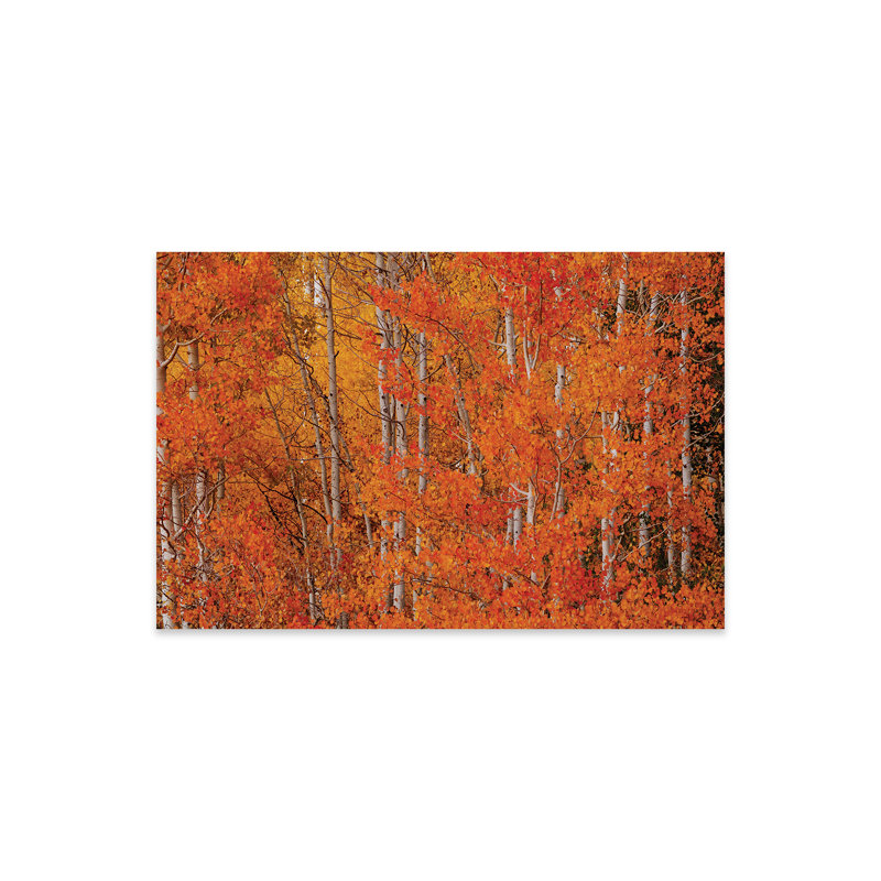 «Red Orange Delight», impression sur verre acrylique