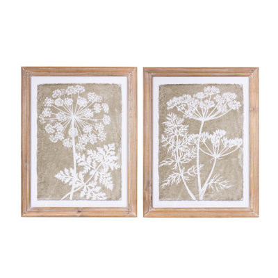 «Queen Anne's Lace and Fern», art mural encadré