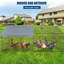 6.85 m² Chicken Coop