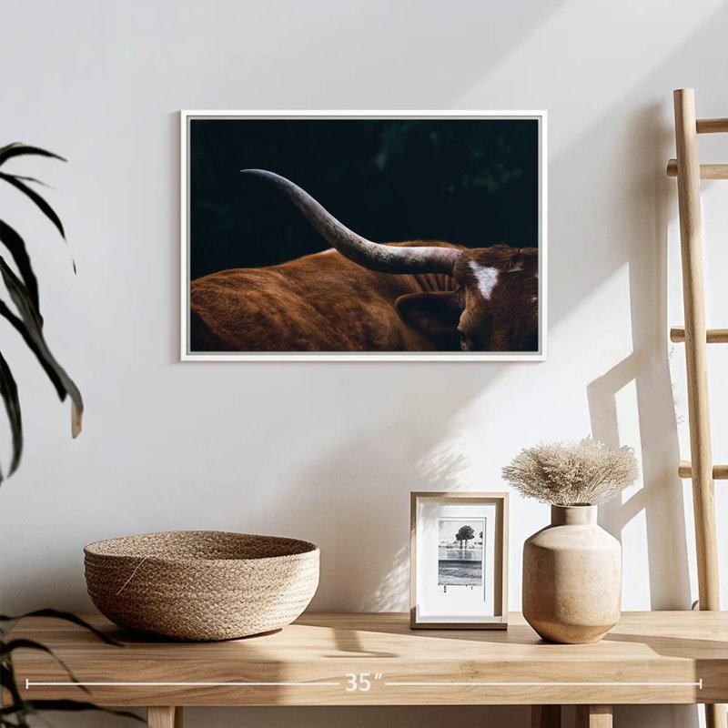 Cow Texas Longhorn, 19" X 13", Floating Frame White