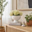 Bol en bois de style Paulownia-1325474854