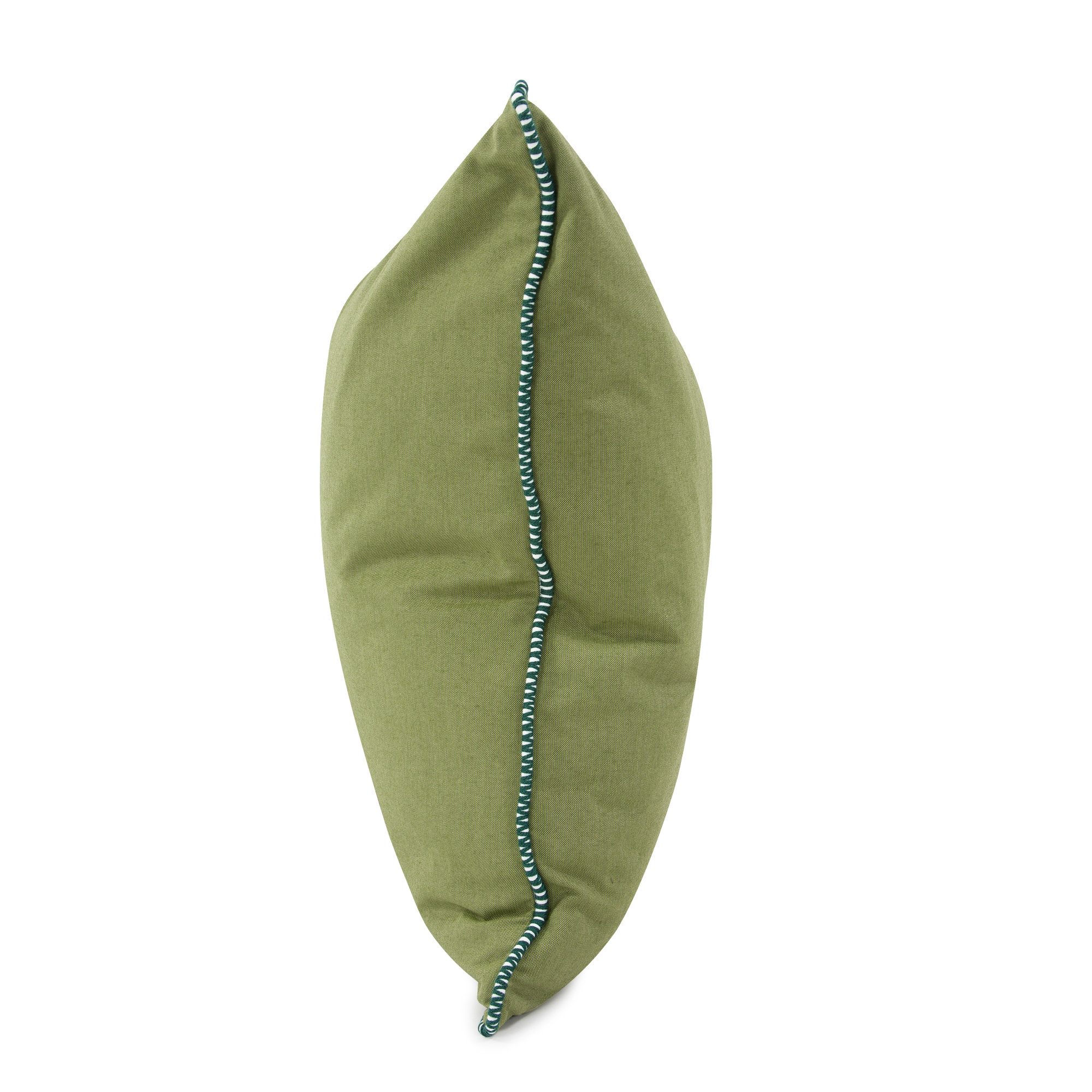 Delijah Sunbrella® Indoor/Outdoor Throw Pillow, 24" x 24", Seascape Moss