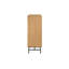Janasha 2 - Door Standard Accent Cabinet