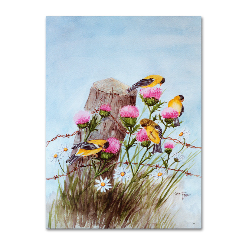 Dugazon «American Goldfinch», reproduction sur toile tendue, H 47 po x l 35 po