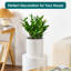 FLHPOT Ceramic Pot Planter