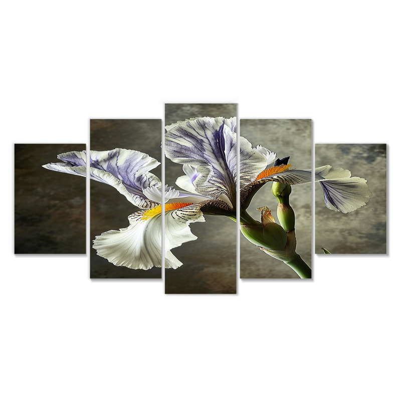 Ensemble 5 pièces Merwin - Iris