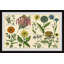 Southern Globethistle - Single Picture Frame Painting-696561936
