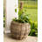 Round Belly Planter With Plastic Insert