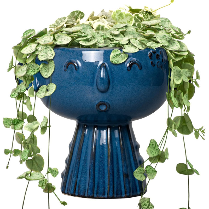Mignon pot à fleurs 7 po