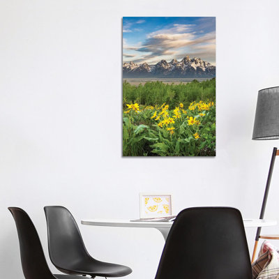 USA, Wyoming. Arrowleaf Balsamroot Wildflowers And Aspen Trees, Grand Teton National Park. - Wall Art Print - Wrapped Canvas