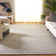 Danie Natural Area Rug in Gray/Ivory