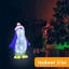Christmas Penguin Decorative Accent