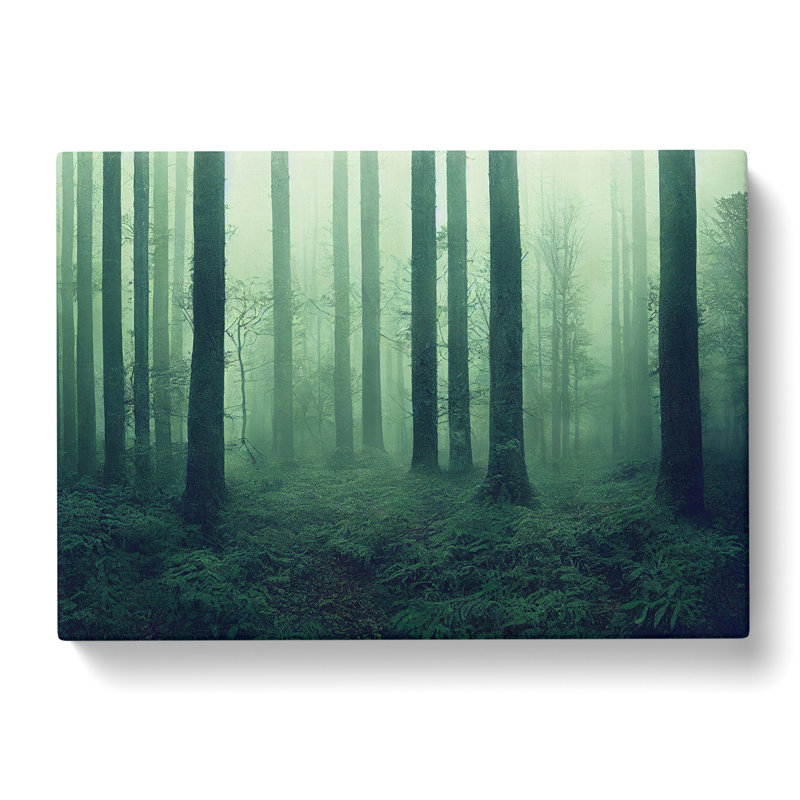 Dazzling Forest - Wrapped Canvas Print, 35cm H x 50cm W x 3cm D