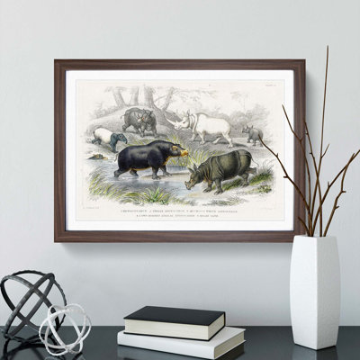 Hippopotamus and Rhinoceros by Oliver Goldsmith - Picture Frame Painting Print