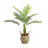 34 " H Faux Palm Tree in Plastic Basket