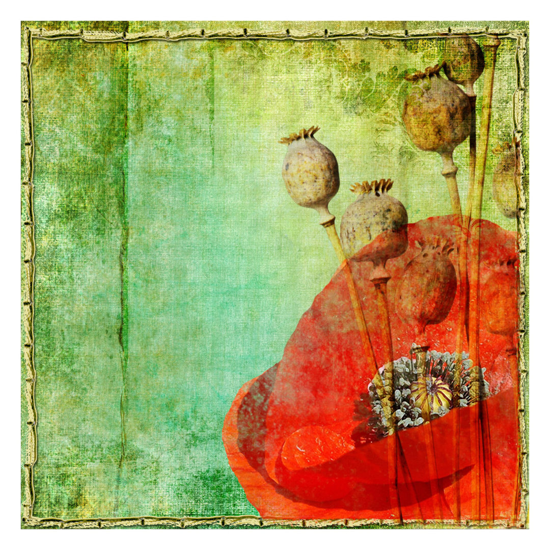 Poppy Stalks 3.36m x 3.36m Textured Matte Peel & Stick Wall Mural