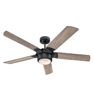 Prochoros Ceiling Fan with LED Lights