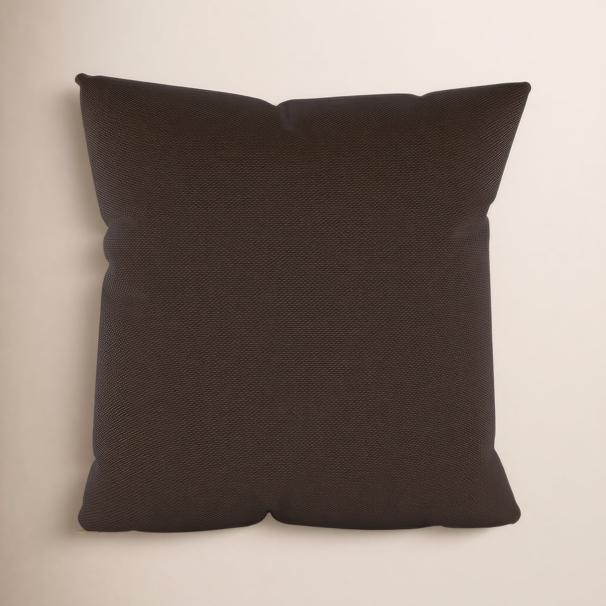 Indoor/Outdoor Throw Pillow, Square 16", Dupione Latte