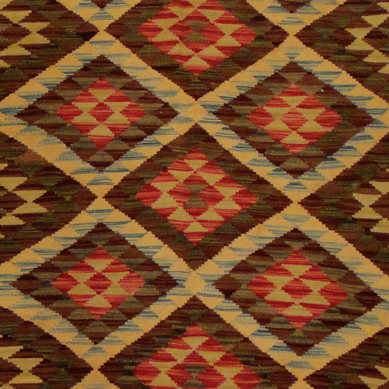 Azpeitia Wool Southwestern Indoor Rug