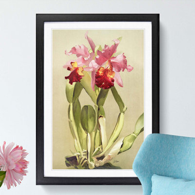 Magnolia Flowers Illustration Tab. 55 by Frederick Sander - Picture Frame Painting Print