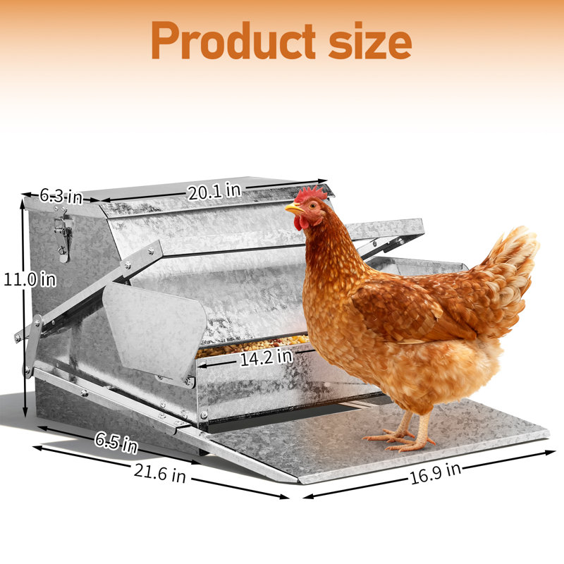 11'' Silver Chicken Feeder Rodent Proof