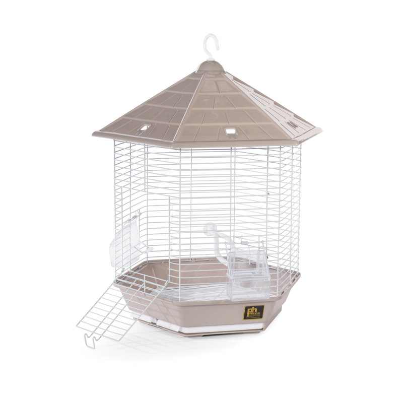 Cage à oiseaux avec perchoir en plastique à toit pointu 21,5 po Borrero, Pierre