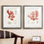 Vintage Coral Study III - Ensemble de 2 reproductions de cadres photo sur toile