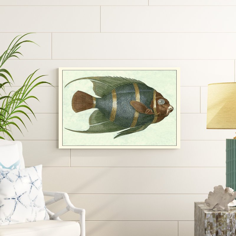 Poisson ange I, H 36 po x l 24 po x P 1,25 po