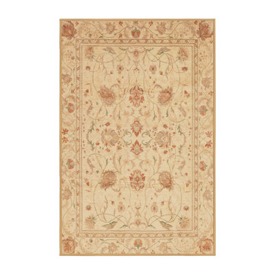 Oriental Indoor Rug