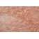 Planas Indoor Rug