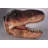 T-Rex Dinosaur Head Medium Life Size Statue