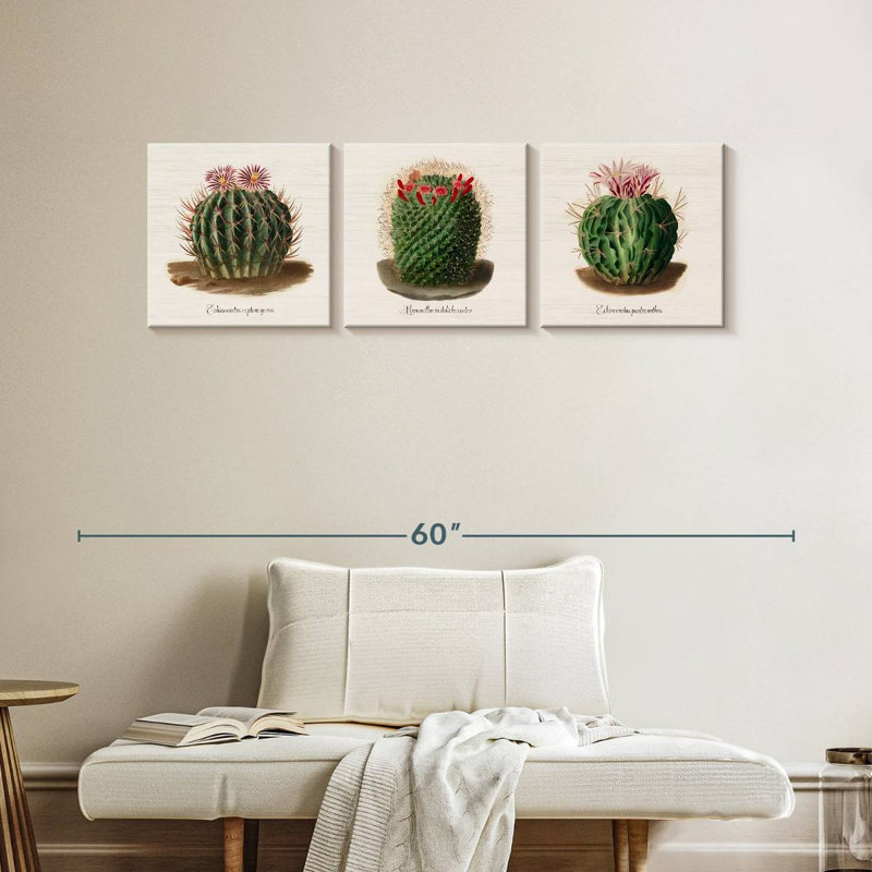 Iconographie descriptive des cactus, H 15 po x l 47 po